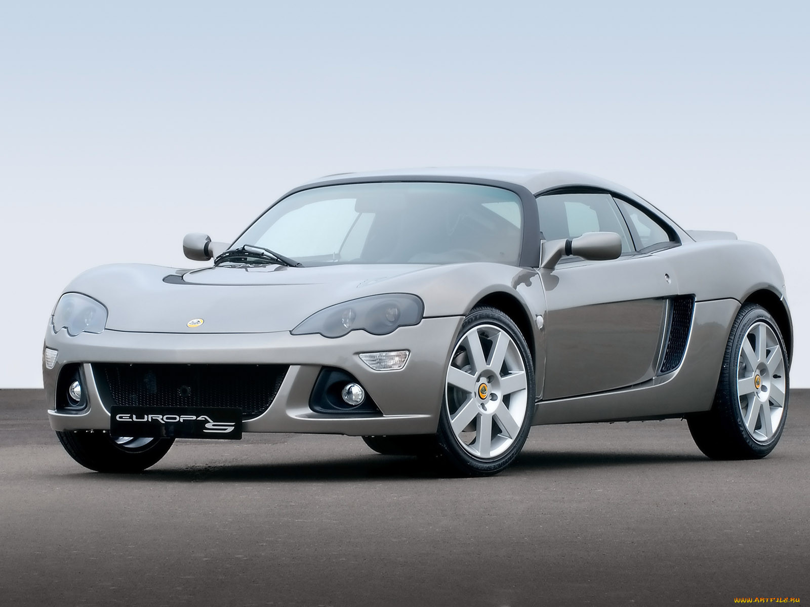 , lotus